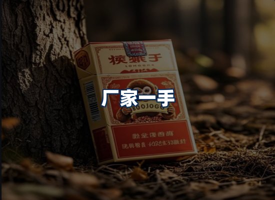 专业团队办公环境